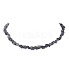 Natural Iolite Nuggets Beaded Necklaces for Women NJEW-JN05829-2