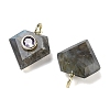Natural Labradorite Faceted Pendants G-F819-03G-06-2