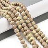 Natural Rainbow Alashan Agate Beads Strands G-NH0022-A-02-3