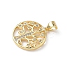 Brass Micro Pave Cubic Zirconia Pendants KK-S337-06G-C-2