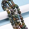 Natural Indian Agate Beads Strands G-E571-24C-2
