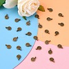 Tibetan Style Alloy Charms MLF0339Y-5
