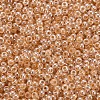 12/0 Imitation Jade Glass Seed Beads SEED-S049-A-015-3
