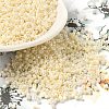 Cylinder Seed Beads SEED-H001-H23-3