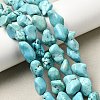 Natural Green Turquoise Beads Strands G-N0312-01-7