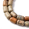 Natural Aqua Terra Jasper Beads Strands G-L624-C03-12x8mm-5