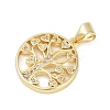 Rack Plating Brass Micro Pave Cubic Zirconia Pendants KK-H509-20G-03-2