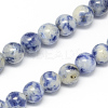 Natural Blue Spot Jasper Bead Strands G-R193-15-4mm-1