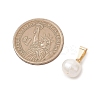Natural Cultured Freshwater Pearl Potato Charms PALLOY-JF04890-01-2