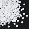 1300Pcs 6/0 Glass Seed Beads SEED-YW0002-22B-2