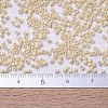 MIYUKI Delica Beads SEED-J020-DB0204-4