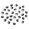  50Pcs Natural Freshwater Shell Printed Beads SHEL-NB0001-56A-1