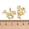 Brass Pendants KK-L251-58G-3