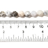 Natural White African Opal  Beads Strands G-K382-A13-02-5