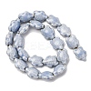 Handmade Porcelain Beads Strands LAMP-G140-02N-2