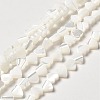 Natural Trochid Shell/Trochus Shell Beads Strands BSHE-E026-19-2