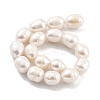 Natural Cultured Freshwater Pearl Beads Strands PEAR-P062-13C-3