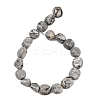 Natural Map Stone Beads Strands GG-CBA787B-A38-5