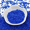 Baking Paint Glass Seed Beads SEED-S042-05B-77-2
