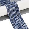Natural Blue Spot Jasper Beads Strands G-H230-56-2