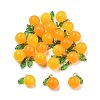Dyed Natural Agate Orange Charms LS-G-U025-07G-1