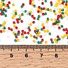 4 Colors 11/0 Christmas MIYUKI Delica Seed Beads SEED-X0058-21-4