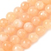Dyed Natural Malaysia Jade Beads Strands G-G021-02C-23-1
