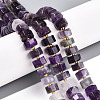 Natural Amethyst Beads Strands G-T140-28-1