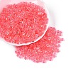 Transparent Inside Colours Glass Seed Beads SEED-T007-11E-3