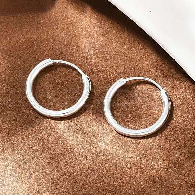 Brass Hoop Earrings EJEW-F378-02S-1