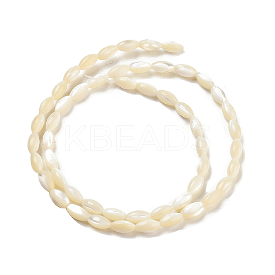 Natural Trochid Shell/Trochus Shell Beads Strands PBB513Y-1