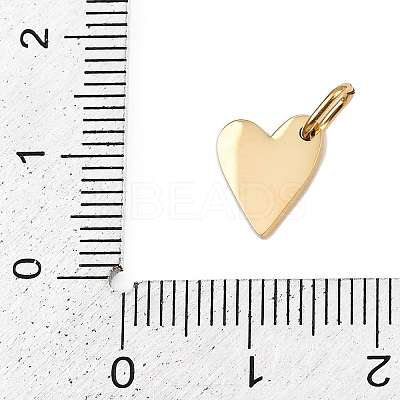 304 Stainless Steel Charms STAS-L291-01G-V-1