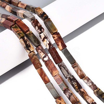 Natural Picasso Jasper/Polychrome Jasper Beads Strands G-T141-104-1