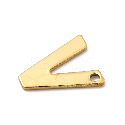 304 Stainless Steel Charms STAS-B093-12G-V-1