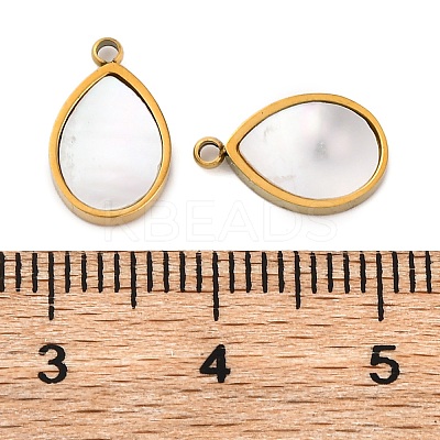Ion Plating(IP) 304 Stainless Steel Pave Natural Shell Charms STAS-Z100-01G-01-1