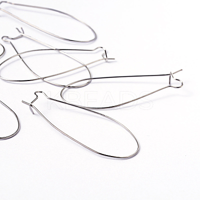 Platinum Color Brass U-Shaped Hoop Earrings Findings Kidney Ear Wires X-EC221-4NF-1