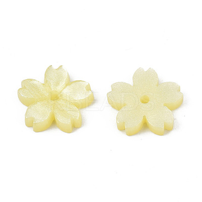 Opaque Acrylic Beads LS-SACR-S273-31G-1