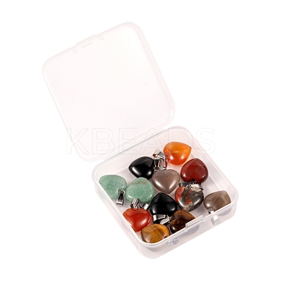 12Pcs 6 Style Natural Gemstone Pendants G-LS0002-10-1