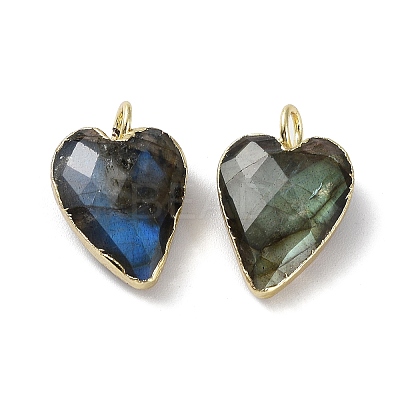 Natural Mixed Stone Pendants G-G012-11G-B-1