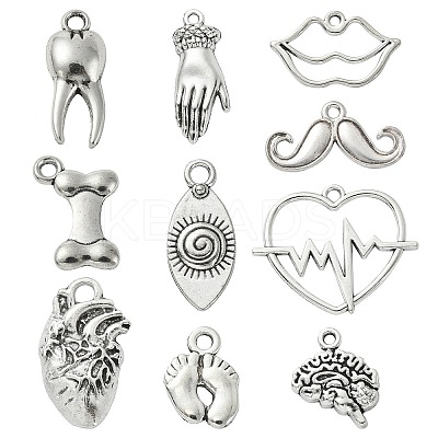 100Pcs 10 Styles Tibetan Style Alloy Charms TIBEP-CJ0002-51-1