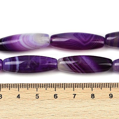 Natural Striped Agate/Banded Agate Beads Strands G-S280-10B-1
