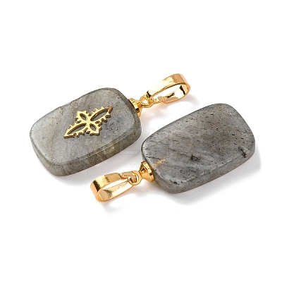 Natural Labradorite Pendants G-G461-07G-06-1