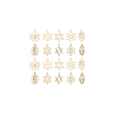 20Pcs 5 Styles Ion Plating(IP) 316L Surgical Stainless Steel and 304 Stainless Steel Pendants STAS-AN0001-04-1