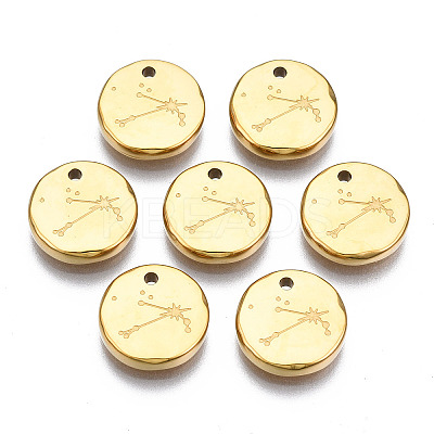 316 Surgical Stainless Steel Charms STAS-S116-418B-G-1