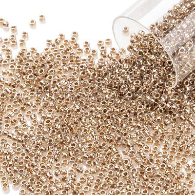 TOHO Round Seed Beads SEED-JPTR15-0989-1
