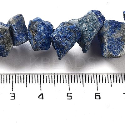Raw Rough Natural Lapis Lazuli Beads Strands G-P528-A14-01-1