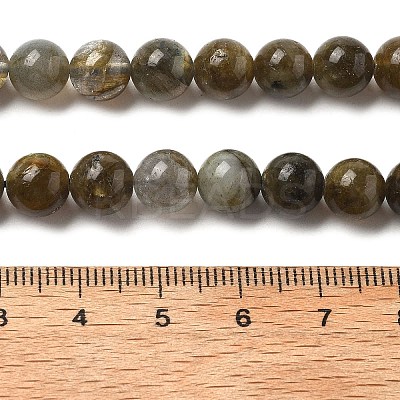 Natural Labradorite Beads Strands G-I253-01-1
