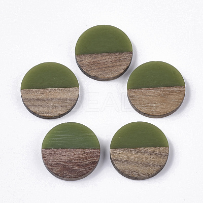 Resin & Walnut Wood Cabochons RESI-Q210-010A-A01-1