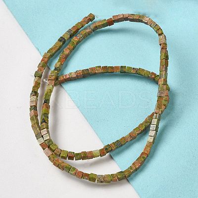 Natural Unakite Beads Strands G-B064-A10-1