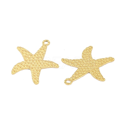 Ion Plating(IP) 304 Stainless Steel Pendants STAS-C106-04G-1